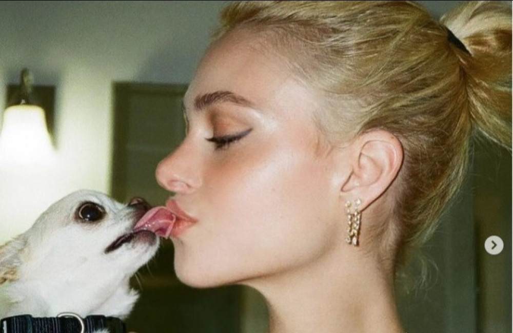 Nicola Peltz Beckham processa tosador e pet shop por maus-tratos após morte de cadela