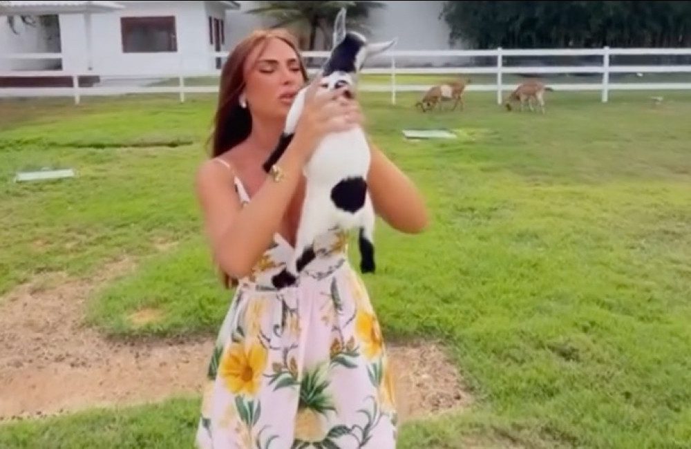 Nicole Bahls explica por que dá nomes de famosos a seus animais: 'Pessoas que a gente tem carinho'